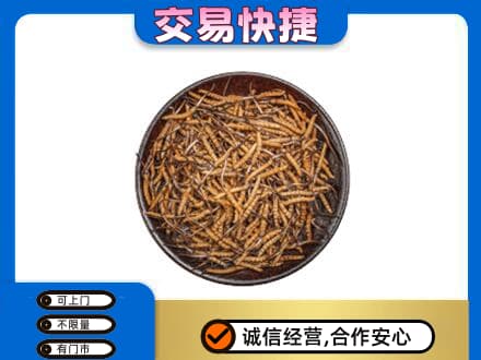 长春回收散虫草